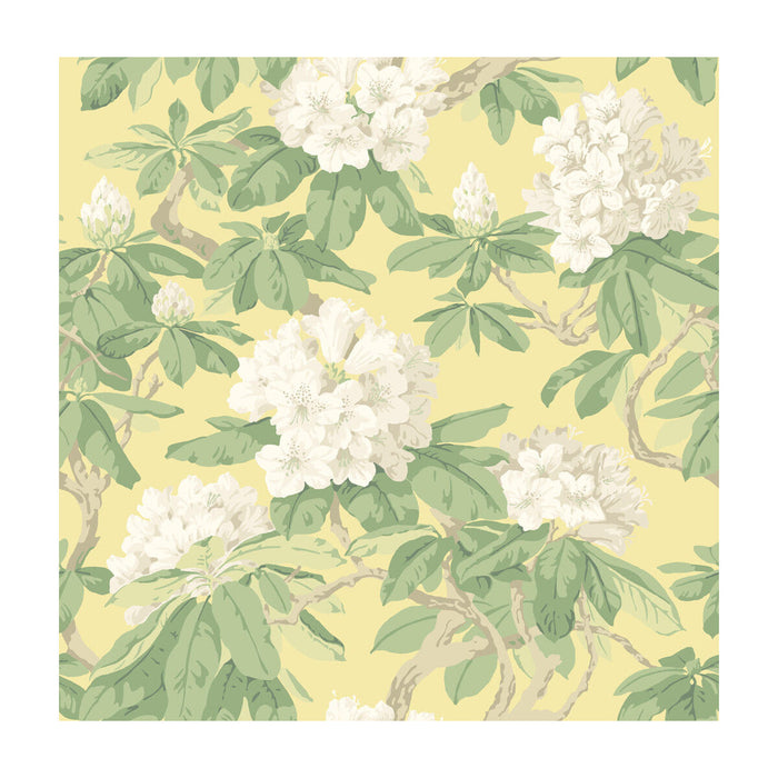 Cole & Son Bourlie Pale Lemon Wallpaper Sample 99/4021.CS.0