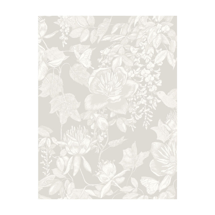 Cole & Son Tivoli Grey Wallpaper Sample 99/7030.CS.0