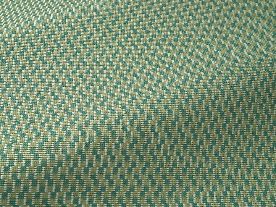 Pierre Frey Ainhoa Kiwi Fabric Sample F3715005