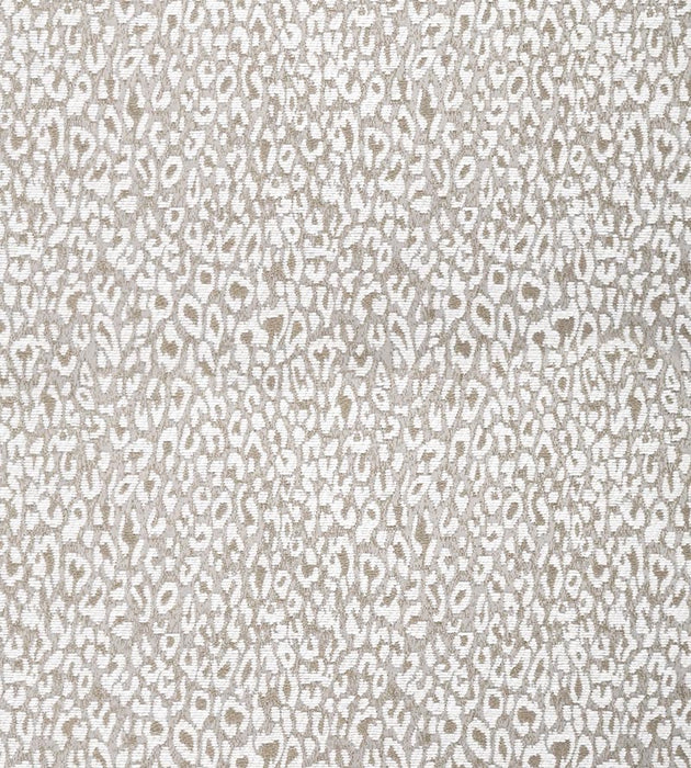 Aldeco Leopard White Star Fabric A9 0001LEOP