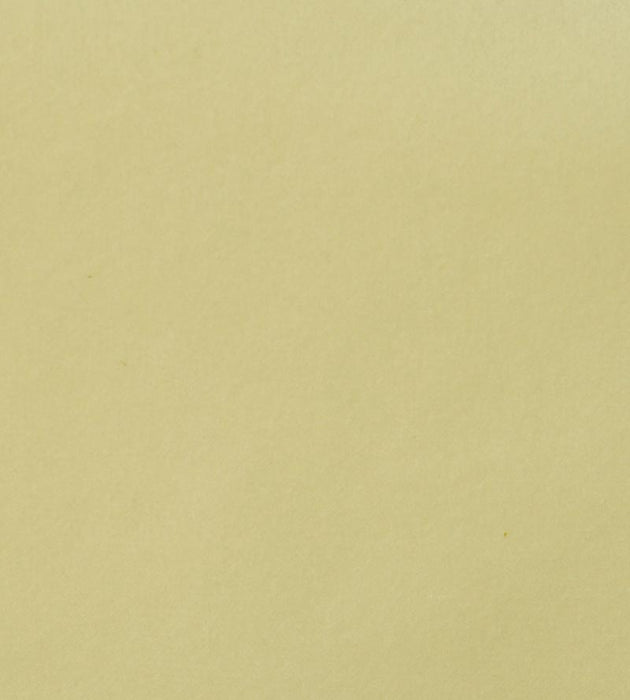 Aldeco Safety Velvet Vanilla Fabric A9 0001T019