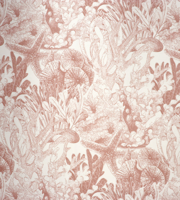 Aldeco Toile Sealife - Outdoor Fr Coral Gable Fabric Sample A9 0002TSEA