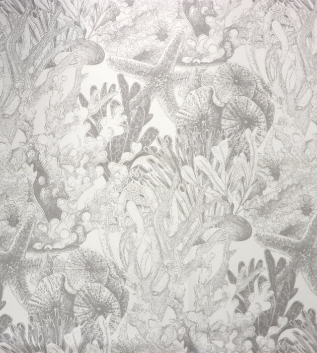 Aldeco Toile Sealife - Outdoor Fr Light Gray Fabric Sample A9 0003TSEA