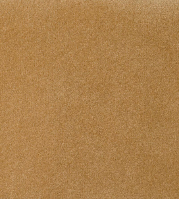 Aldeco Safety Velvet Latte Fabric Sample A9 0004T019