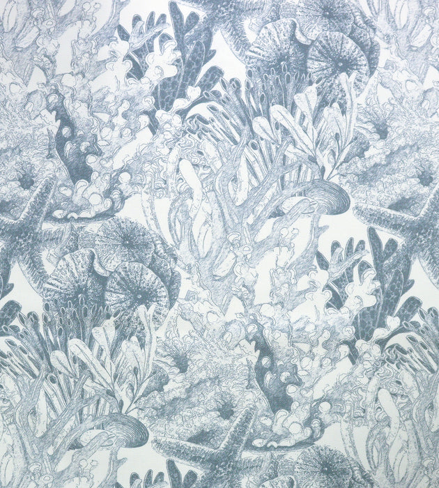 Aldeco Toile Sealife - Outdoor Fr Riverside Blue Fabric A9 0004TSEA