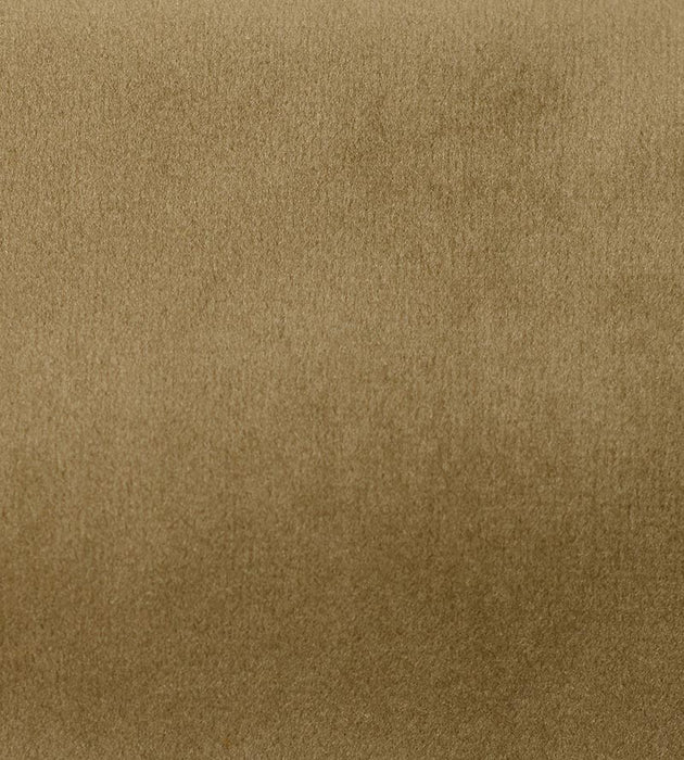 Aldeco Safety Velvet Simply Taupe Fabric A9 0006T019