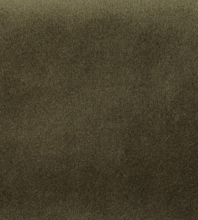 Aldeco Safety Velvet Taupe Gray Fabric A9 0008T019