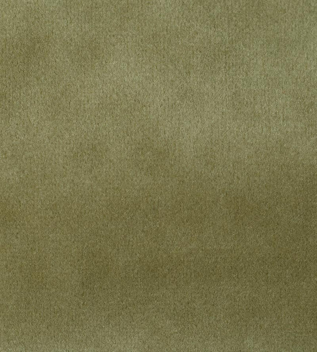 Aldeco Safety Velvet Plaza Taupe Fabric Sample A9 0009T019