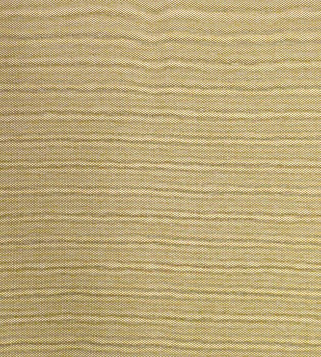 Aldeco Puka Puka - Outdoor Fr Misted Gold Fabric Sample A9 0011PUKA