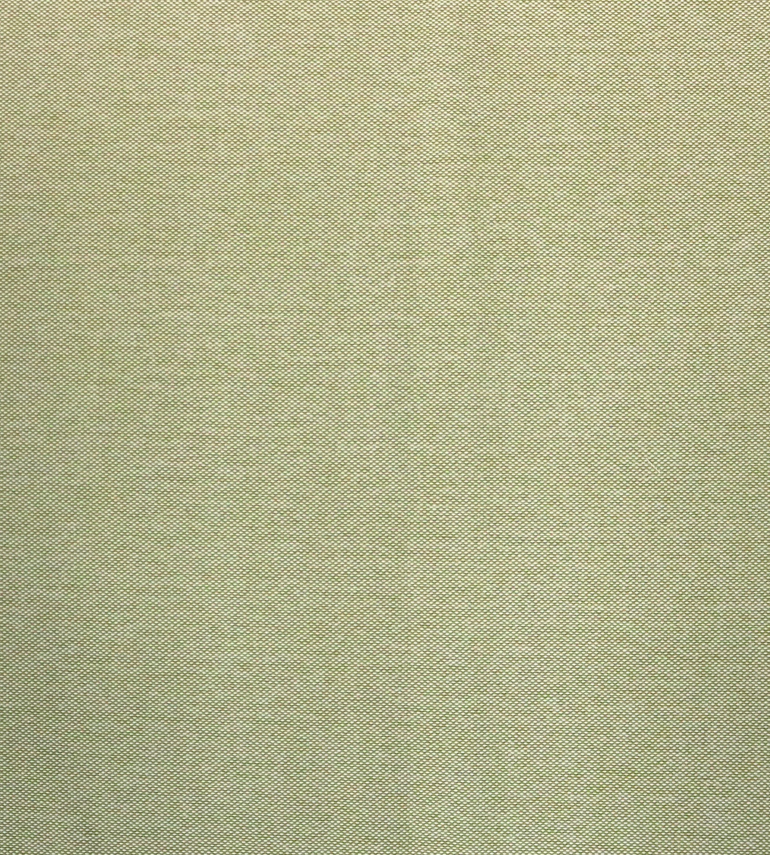 Aldeco Puka Puka - Outdoor Fr Misted Green Fabric Sample A9 0013PUKA