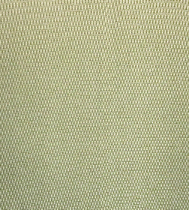 Aldeco Puka Puka - Outdoor Fr Misted Green Fabric Sample A9 0013PUKA