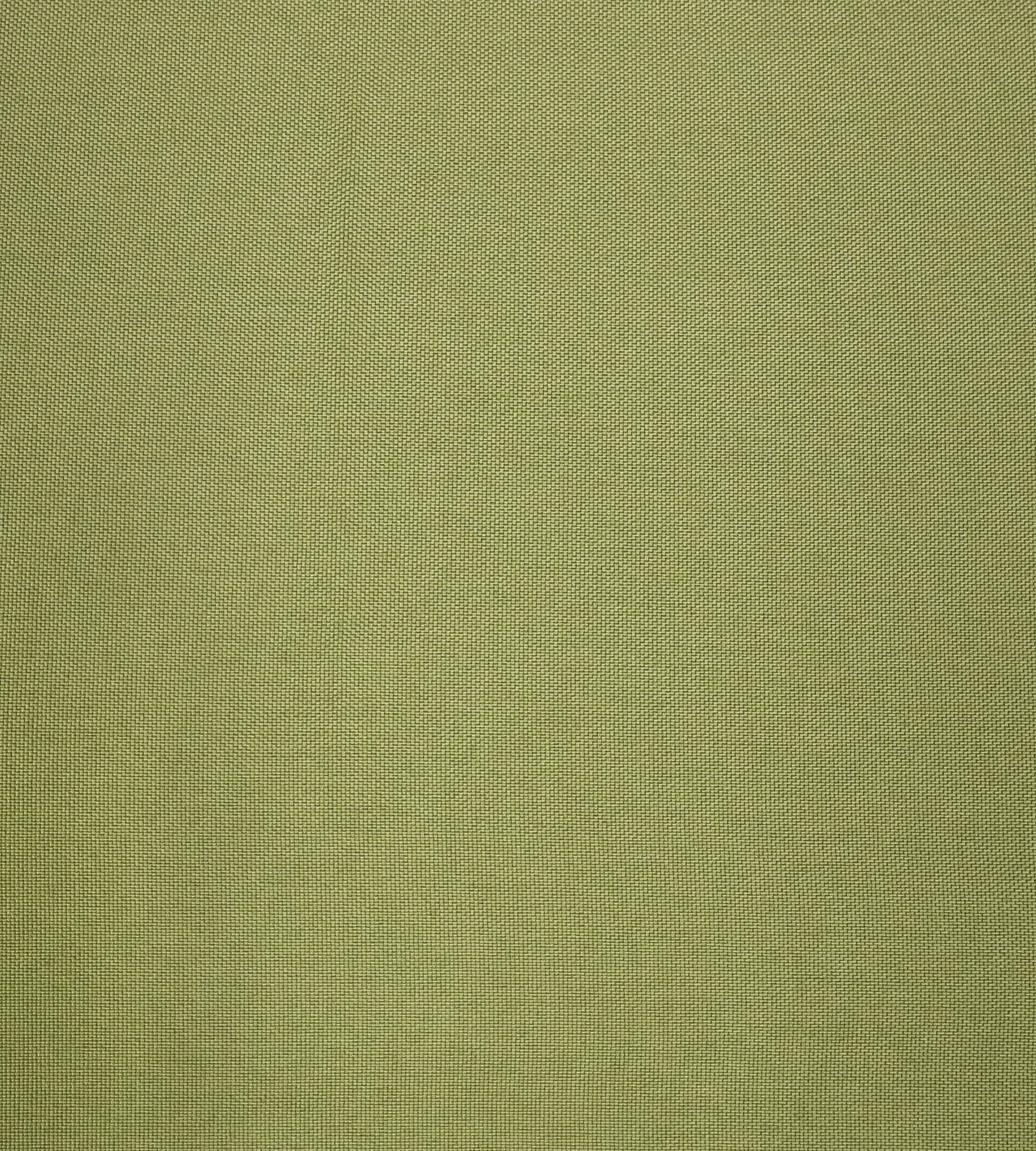 Aldeco Puka Puka - Outdoor Fr Eden Green Fabric Sample A9 0014PUKA