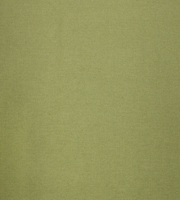 Aldeco Puka Puka - Outdoor Fr Eden Green Fabric Sample A9 0014PUKA