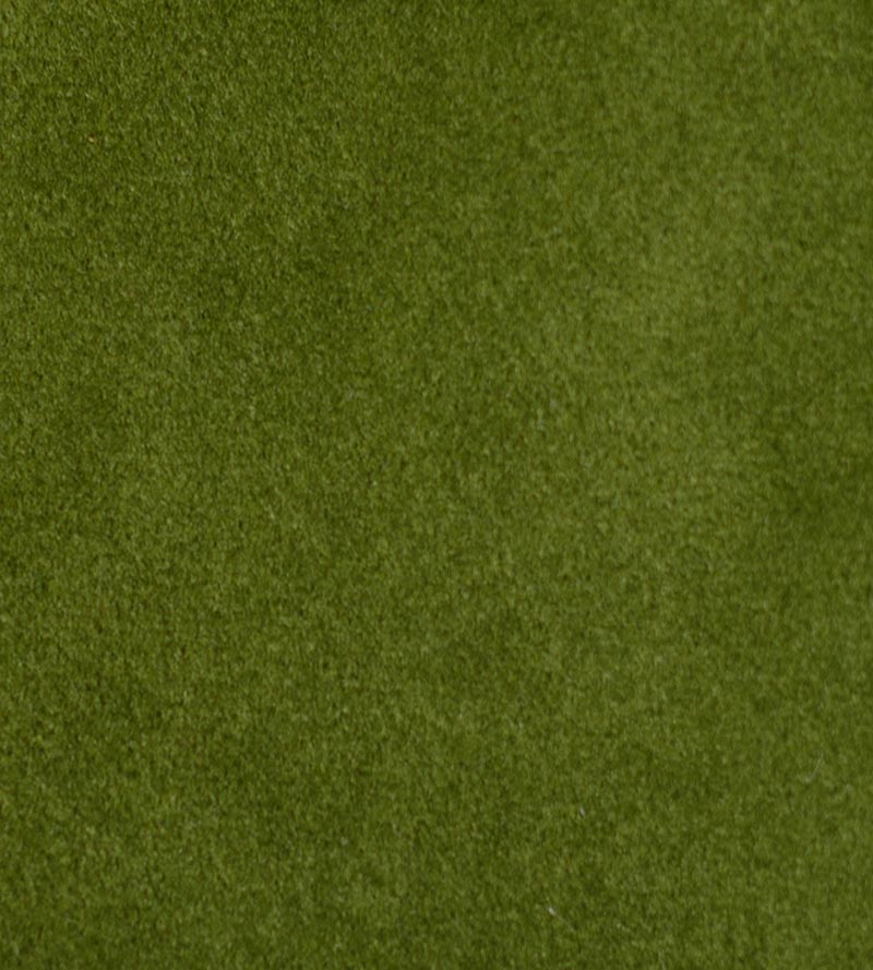 Aldeco Safety Velvet Eden Green Fabric Sample A9 0019T019