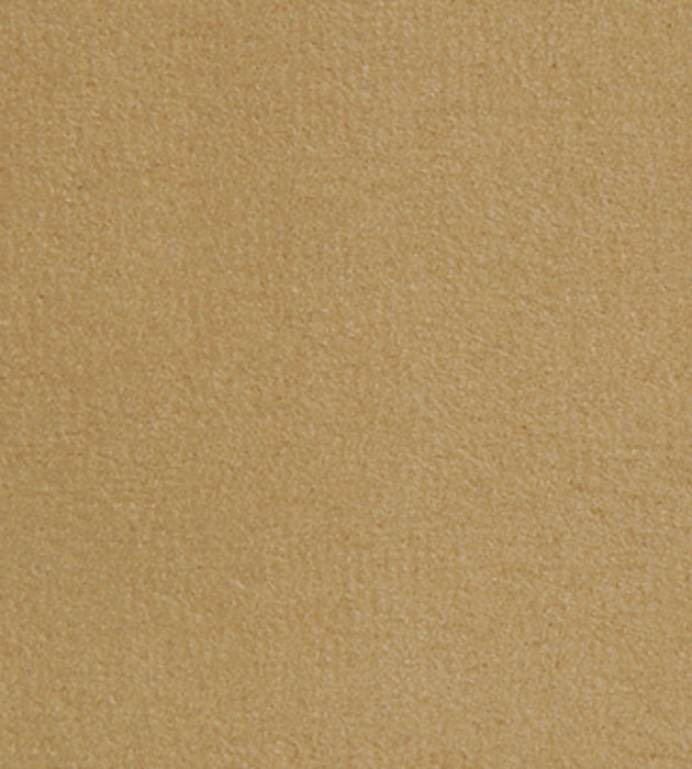 Aldeco Thara Sand Fabric Sample A9 00077690