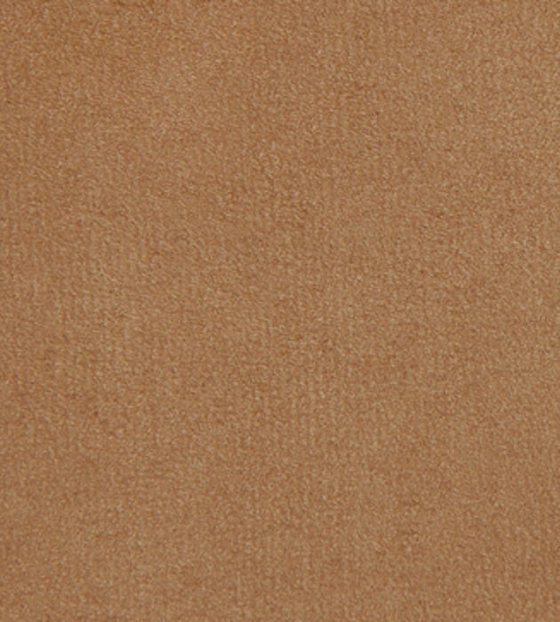 Aldeco Thara Caramel Fabric Sample A9 00097690