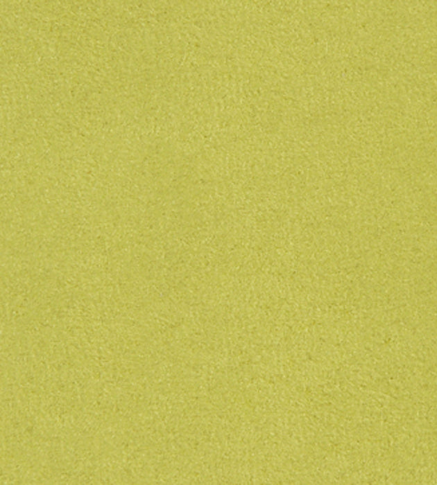 Aldeco Thara Celery Green Fabric Sample A9 00277690