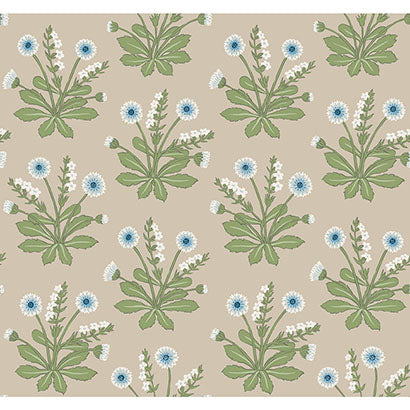 York Meadow Flowers Linen & Blue Wallpaper AC9154