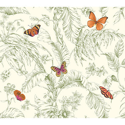 York Papillon Green Wallpaper AF2027