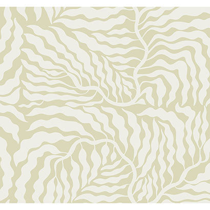 York Fern Fronds Light Green & White Wallpaper AG2065