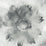 Seabrook Designs Watercolor Sunflower Metallic Silver & Charcoal Wallpaper AH40500