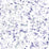 Seabrook Designs Splatter Metallic Silver, Lavender, & Robin''s Egg Wallpaper Sample AH41709