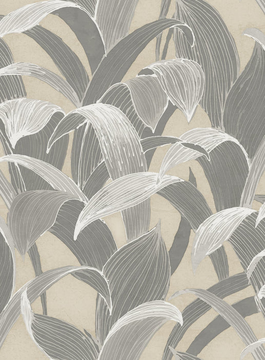 Seabrook Designs Imperial Banana Groves Metallic Gold And Gray Wallpaper Sample AI40308