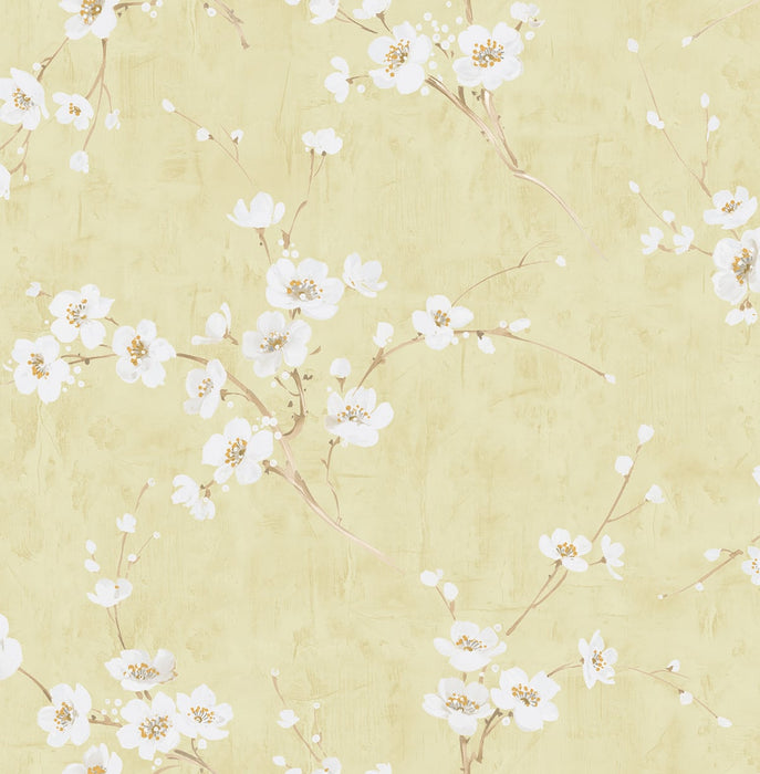 Seabrook Designs Silk Road Dogwood Metallic Pearl And Gold Wallpaper AI41603