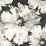 Seabrook Designs Curie Abstract Floral Metallic Ebony And Off-white Wallpaper Sample AV50000