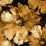 Seabrook Designs Curie Abstract Floral Metallic Gold And Ebony Wallpaper Sample AV50005