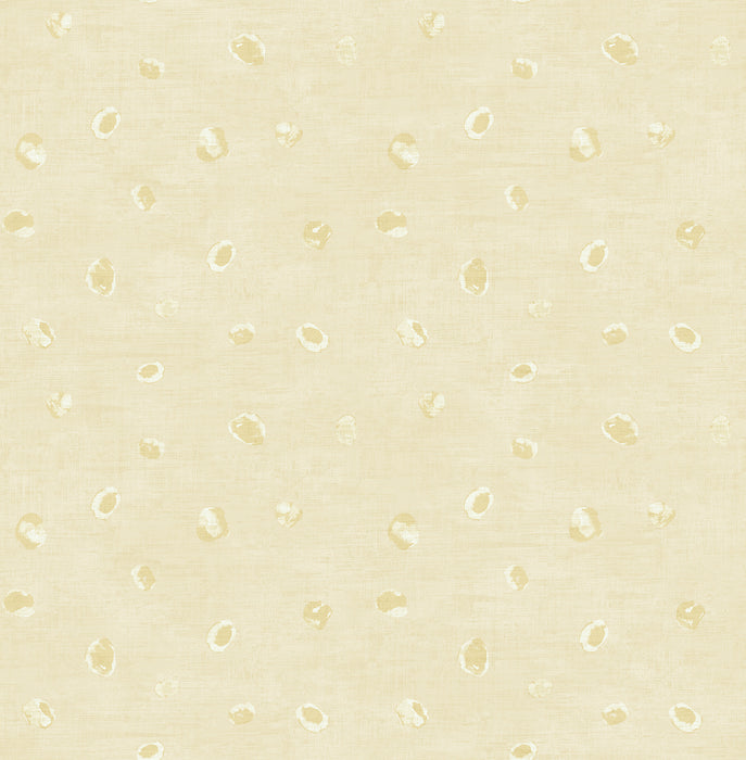 Seabrook Designs Hubble Dots Metallic Chanmpagne Wallpaper AV50615