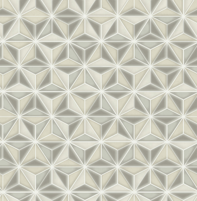 Seabrook Designs Einstein Geometric Metallic Gold And Metallic Silver Wallpaper Sample AV51408