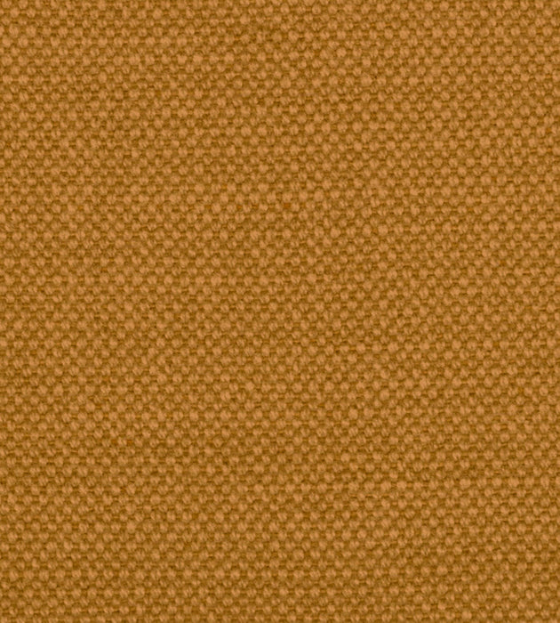 Alhambra Aspen Brushed Wide Butterscotch Fabric Sample B8 01011100