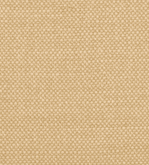 Alhambra Aspen Brushed Wide Shell Fabric Sample B8 01261100