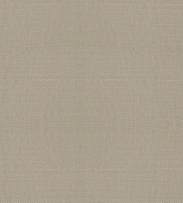 Alhambra Aspen Brushed Wide Raffia Fabric Sample B8 00161100