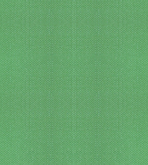 Alhambra Aspen Brushed Wide Aventurine Fabric Sample B8 00231100