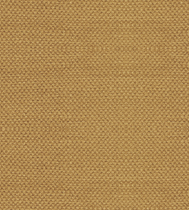 Alhambra Scirocco Wide Cashew Fabric Sample B8 00352785