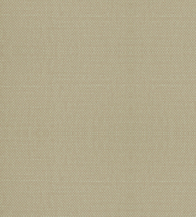 Alhambra Aspen Brushed Wide Acid Gold Fabric Sample B8 00361100