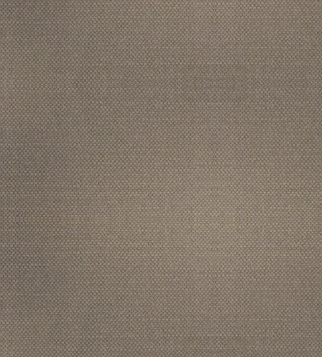 Alhambra Aspen Brushed Wide Burnish Fabric Sample B8 00561100