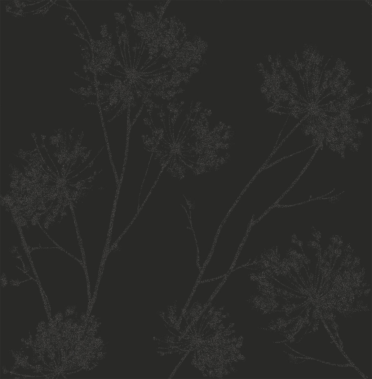 Seabrook Designs Wild Grass Midnight Galaxy Wallpaper Sample BD50220