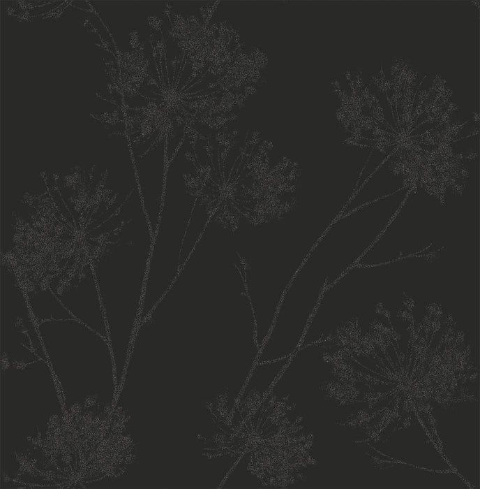 Seabrook Designs Wild Grass Midnight Galaxy Wallpaper BD50220