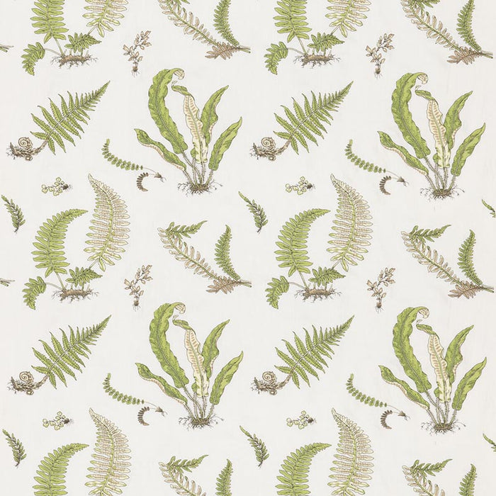 GP & J Baker Ferns Embroidery Green Fabric BF10991.2.0