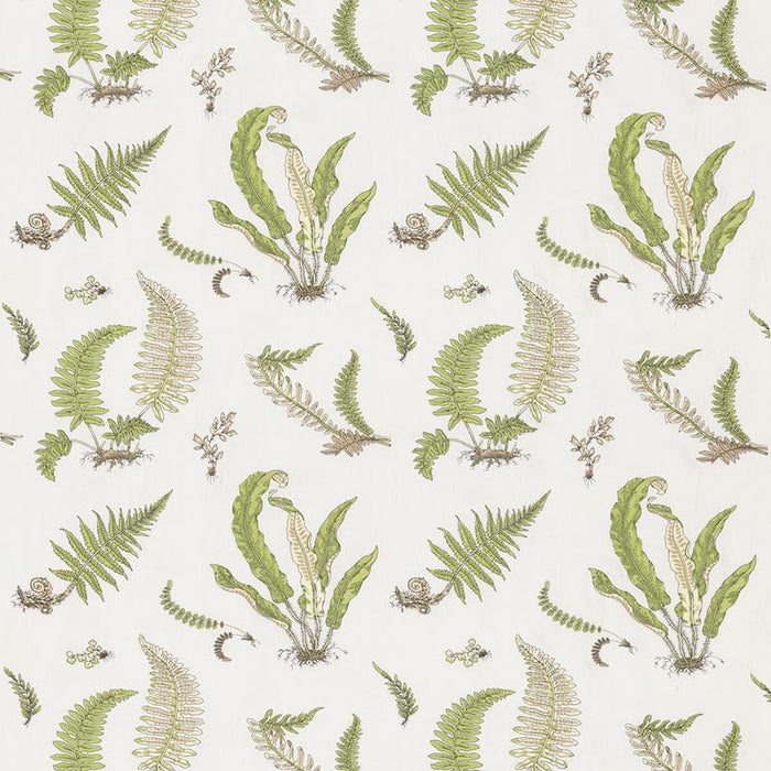 GP & J Baker Ferns Embroidery Green Fabric Sample BF10991.2.0