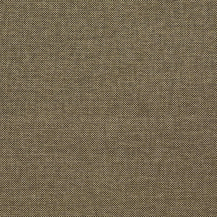 Lee Jofa Webster Moss Fabric BFC-3713.30.0