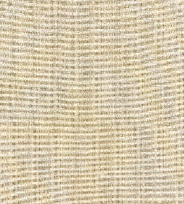 Boris Kroll Thompson Chenille Wheat Fabric BK 0002K65114