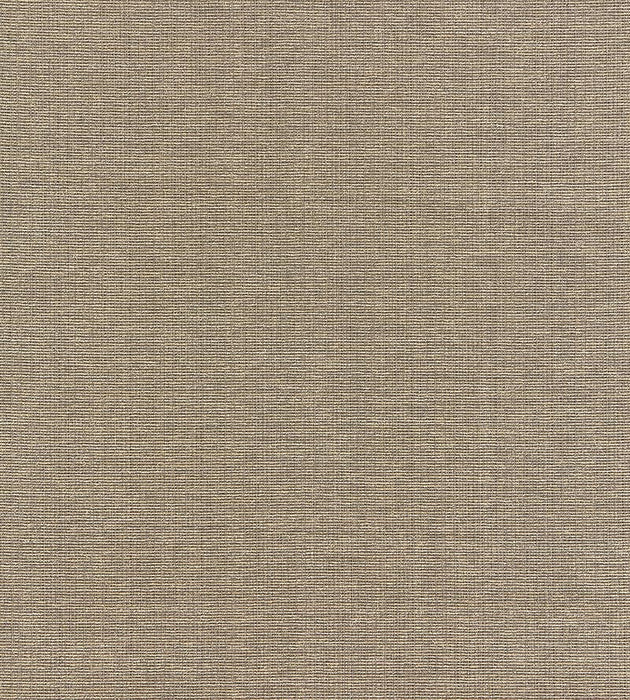 Boris Kroll Thompson Chenille Taupe Fabric BK 0005K65114