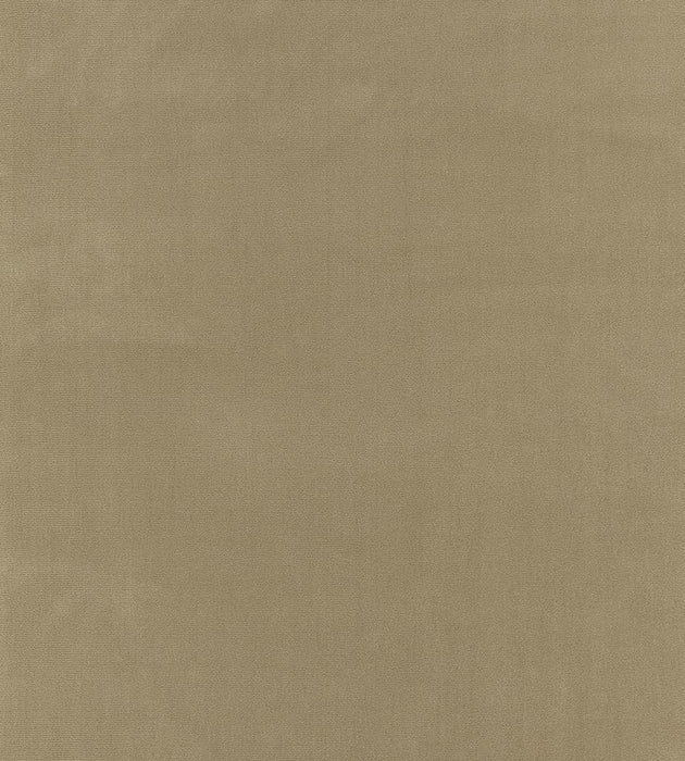 Boris Kroll Richmond Velvet Putty Fabric Sample BK 0005K65122