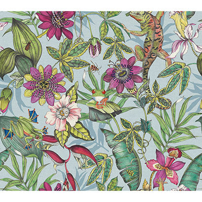 York Rainforest Multicolor Wallpaper BL1701