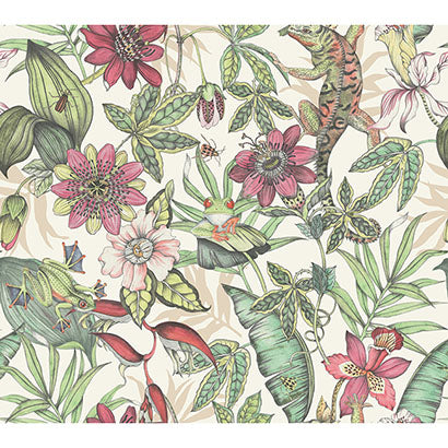 York Rainforest Multicolor Wallpaper BL1702