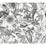 York Rainforest White & Charcoal Wallpaper BL1703